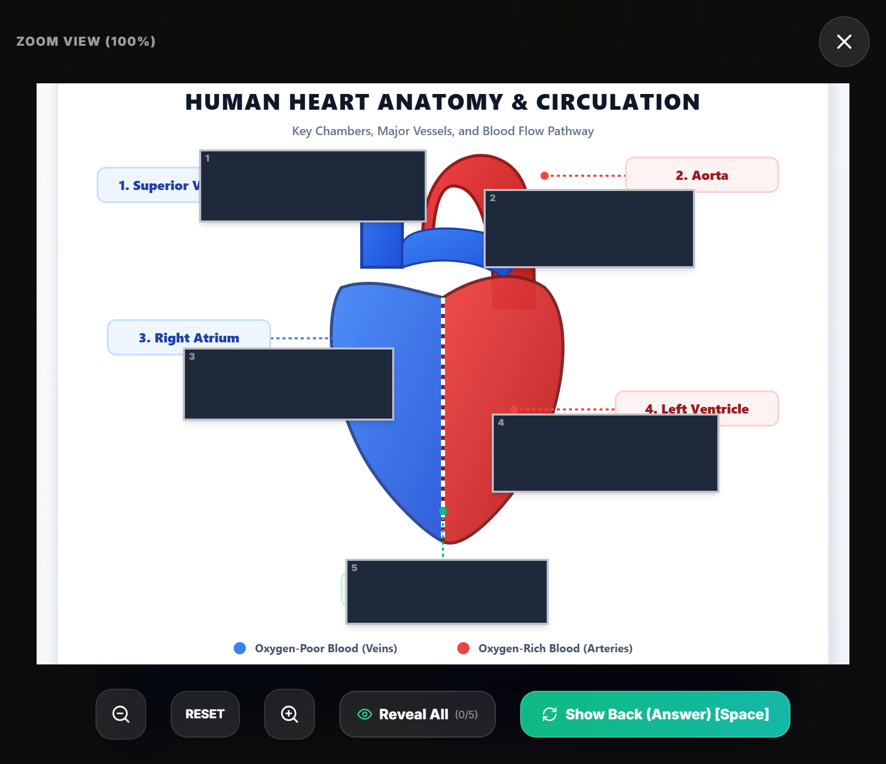 Fig 6: Combining Image Occlusion with Pro Focus Mode creates a distraction-free simulation for anatomical and clinical chart interpretation